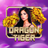 Dragon Tiger Live Game on no1jl